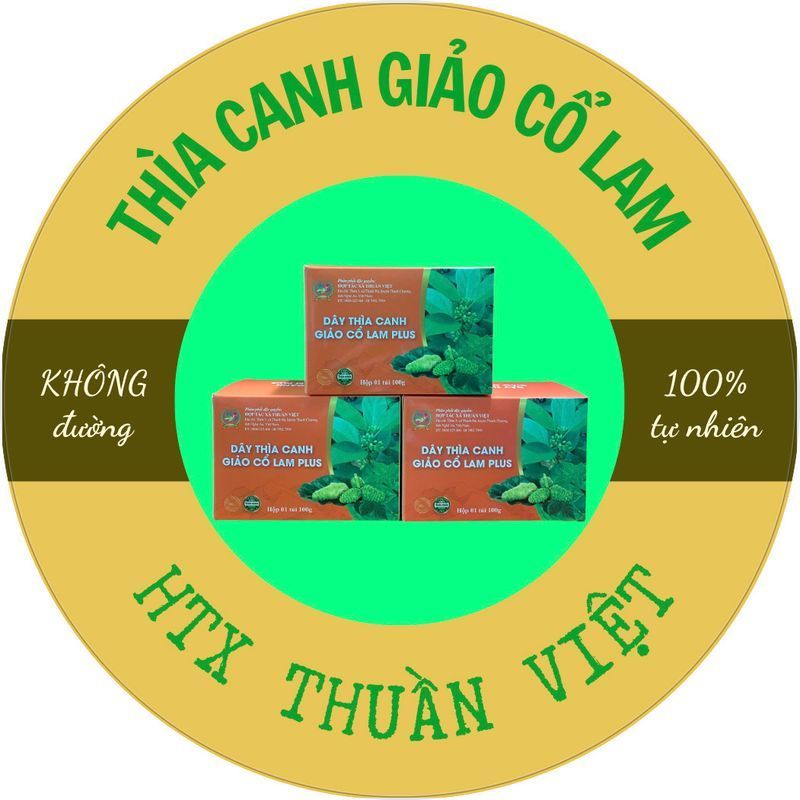 Combo Tổng Hợp Toàn Diện