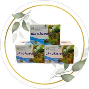 Combo Tổng Hợp Toàn Diện