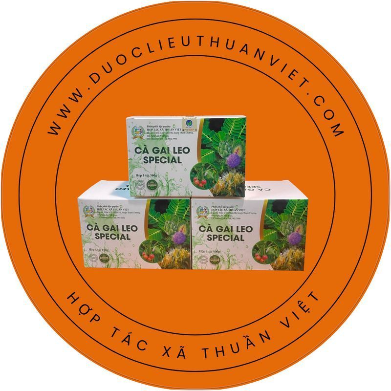 Combo Tổng Hợp Toàn Diện