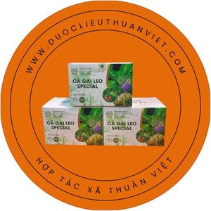 Combo Tổng Hợp Toàn Diện